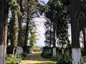 Quinta vacacional · 595m² · 4 Ambientes · Venta de Casa Quinta - 2 Ha en La Zona del Coyunco