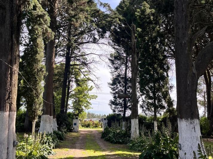 Quinta vacacional · 595m² · 4 Ambientes