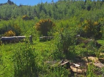 Terreno · 9017m² · Terreno Loteo Raiquen Chubut (Su - 24)