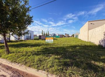 Terreno · 467m² · Lote en Venta en Barrio El Bosque - Usd 62.000