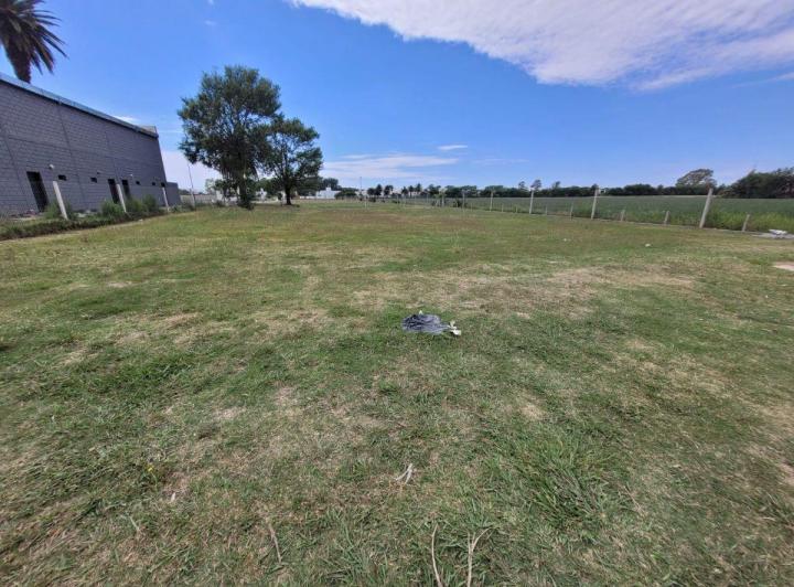 Terreno · 1200m²