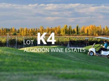 Terreno · 5495m² · Lot K4 – Algodón Wine Estates