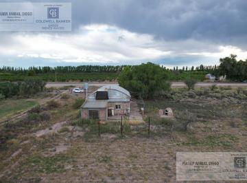 Campo · 95m² · 6 Ambientes · 1 Cochera · Finca en Cañada Seca