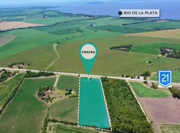 Campo · 37000m² · 2 Dormitorios · Chacra en Venta - Juan Gonzalez - Carmelo