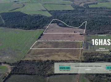 Campo · 160000m² · Chacra en Venta