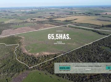 Campo · 655000m² · Campo en Venta