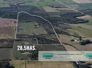 Campo · 285000m² · Campo en Juan Gonzalez