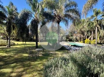Casa · 403m² · 8 Ambientes · 6 Cocheras · Lote de 6328 m² - Sobre Av Recta Martinolli - Desarrollo Inmobiliario - Alquiler