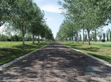 Terreno · 1093m² · Venta · Terreno · Pinares del Sur