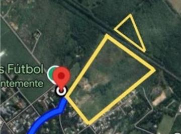 Campo · 172000m² · 1 Ambiente · Campo 17,2 Ha