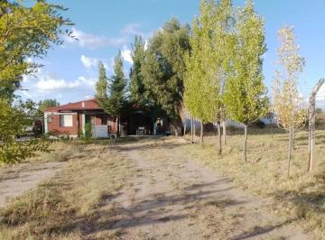 Casa de 3 ambientes, Las Paredes · Casa 3 Ambientes con Amplio Parque Las Mercedes N 3249 San Rafael Mendoza