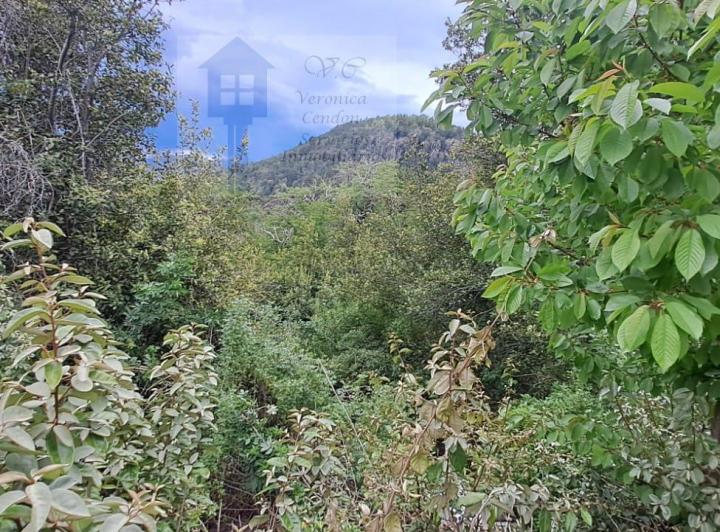 Terreno · 4309m²