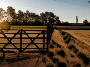 Terreno , Malvinas Argentinas · Terreno Estratégico Para Desarrollo Comercial y Urbanístico Sobre R. 19
