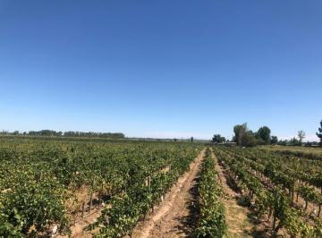 Quinta vacacional · 314000m² · Greenwood Inmobiliaria Vende Finca en Las Heras