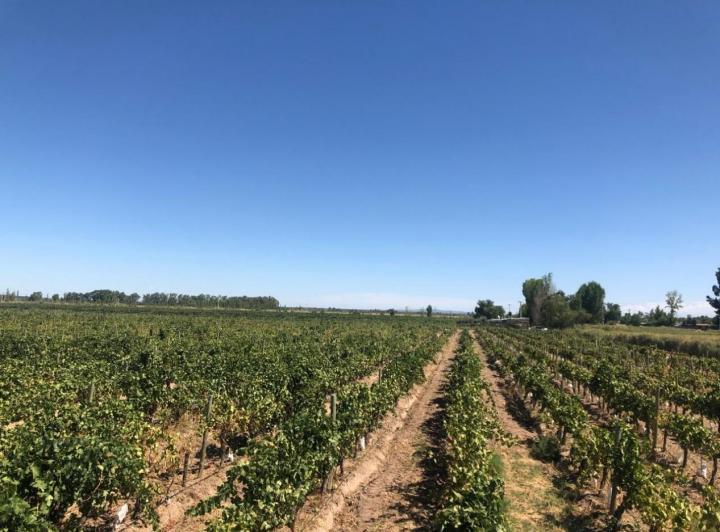 Quinta vacacional · 314000m²