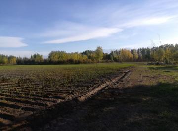 Campo · 7ha · Finca en Colonia Las Rosas, Tunuyan
