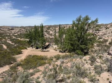 Terreno · 3300000m² · Ruta N°7 Acceso por Calle Brandsen