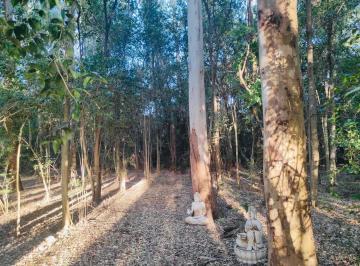 Campo · 5000m² · Campo en Venta en Villa Ruiz, San Andres de Giles