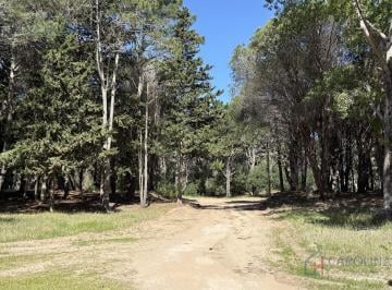 Terreno · 1000m² · Terreno en Costa del Este