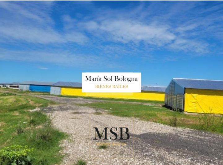 Campo · 100000m²