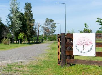 Terreno · 900m² · Los Cerezos de Open Door Lotes 900 m² Entorno Único