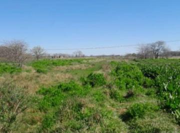Terreno , La Plata · Fraccion de 5 Ha en Alquiler en El Peligro