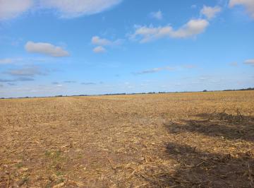 Campo · 520000ha · Venta - Campo 52 Ha - Fighiera