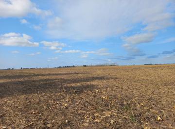 Campo · 520000ha · Venta - Campo 52 Ha - Fighiera
