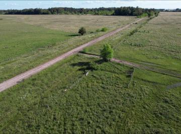 Campo , Punta Indio · Campo en Venta 170 Hectáreas en Punta Indio