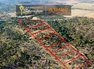 Terreno · 10000m² · Fracciones en Venta Sobre La Ruta | Camino a Atos Pampa