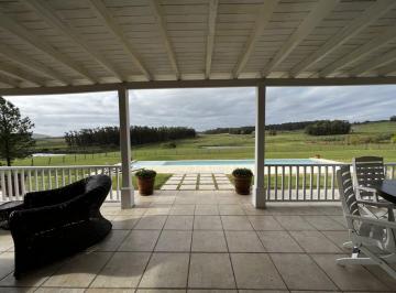 Terreno · 600m² · Venta Campo con Olivar 39 Ha, Casa Principal 4 Ambientes Maldonado Uruguay