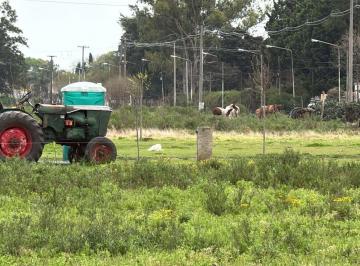 Campo · 800000ha · Campo en Ramallo Paraiso