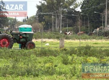 Campo · 800000ha · Campo en Ramallo Paraiso