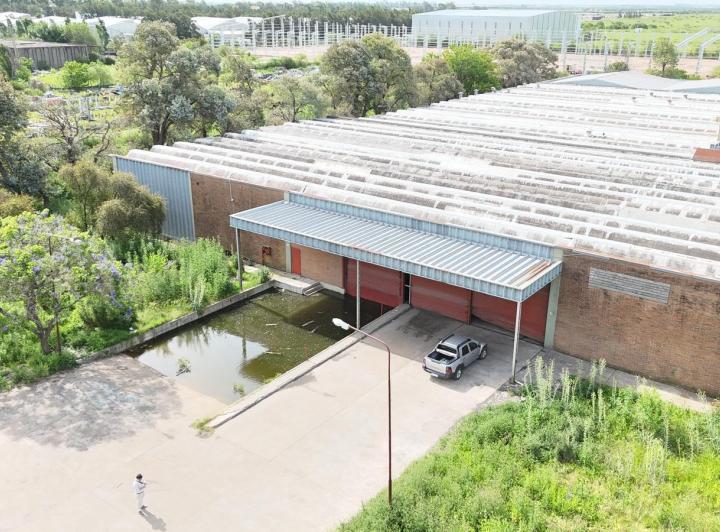 Bodega-Galpón · 20000m²