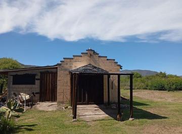 Campo , San Francisco del Monte de Oro · Casa de Campo en 1 Hectárea – Energía Solar, Galpón y Entorno Único a 1000 m de Miguel B. Pastor