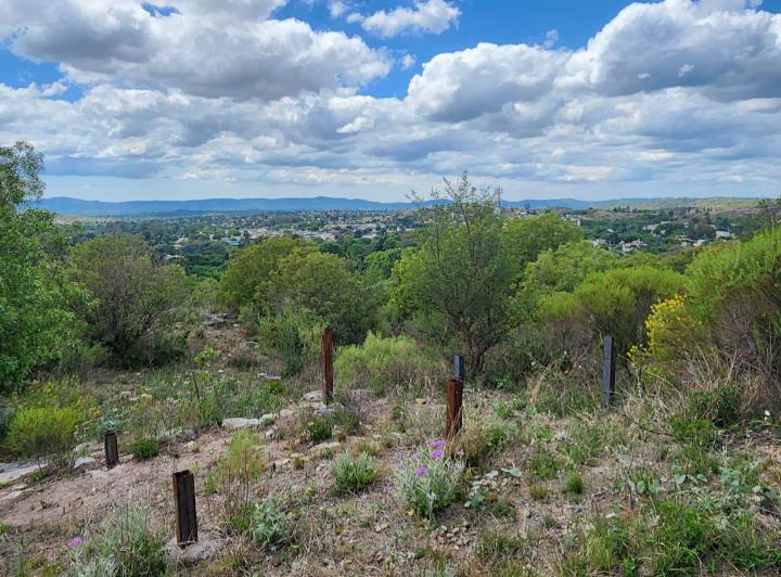 Terreno · 1016m²