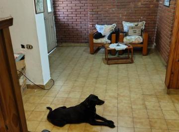 PH · 5630m² · 3 Ambientes · PH Al Fondo
