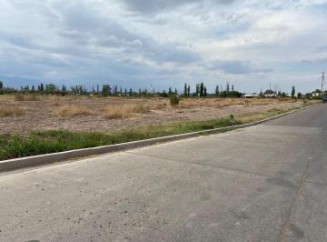 Terreno · Terreno a La Venta Sobre Calle Alsina