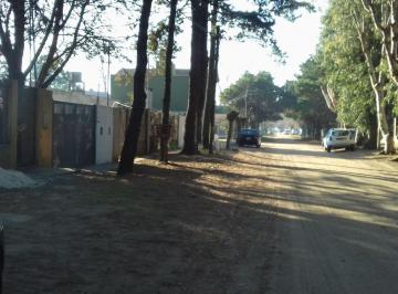 DIT-DIT-6300_2 · Lote. | Gaboto