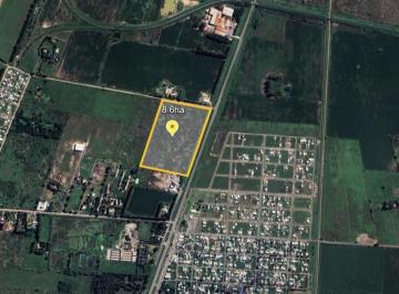 Campo · 86000m² · Campo 8.6 Ha Frente a La Carolina