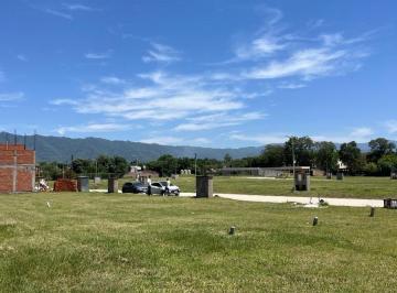 Terreno · 484m² · Terrenos en Venta - Cañas II