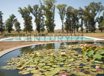 Terreno · 1000m² · Venta Lote 334 Interno | Barrio Norte, Tres Pinos, General Rodríguez – Acepta Permuta