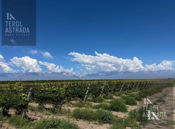 Campo · 624705ha · Finca Orgánica de 62 Has en Tupungato, Mendoza.