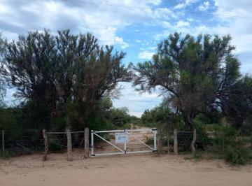 Foto · Se Vende Campo Ganadero 500 Ha