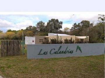 Terreno · 1000m² · Mmc. Oportunidad Lote en Venta en Las Calandrias, Cardales