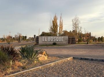 Terreno · 300m² · Terreno en Rodeo del Medio