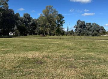 Terreno · 1000m² · Mmc. Preventa Lote en Venta en El Cardal III Cardales