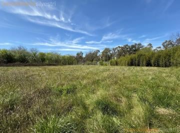Terreno · 10775m² · Alberto Williams, Barrio Villa Rosa, Partido de Pilar - 3 Lotes en Venta