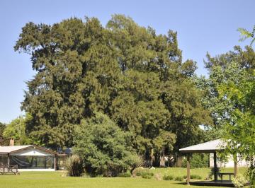 Terreno · 15000m² · 6 Ambientes · Espectacular Chacra en Ruta 7