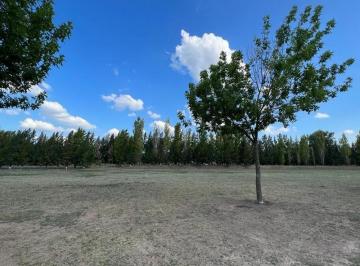 Terreno · 1000m² · Lote en Venta en Terravista